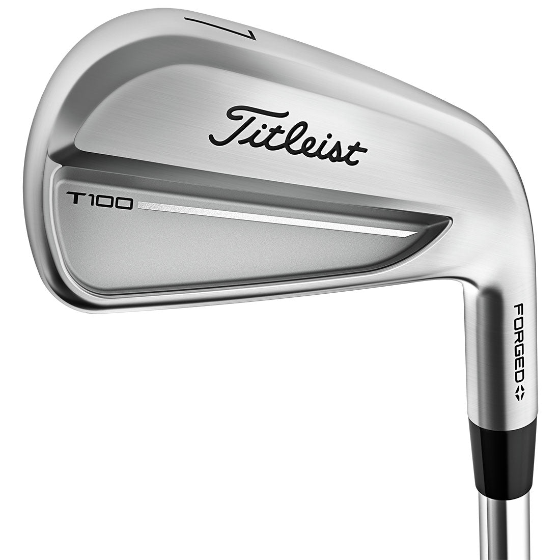 Custom Titleist T100 Forged Irons
