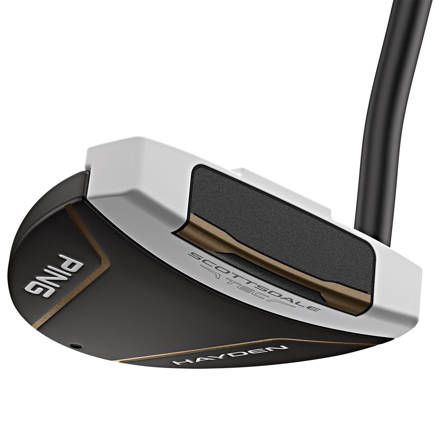 Custom Ping Scottsdale TEC Hayden Putter