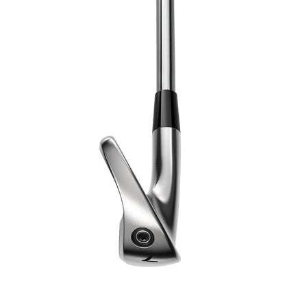 Custom Cobra King Tec Irons