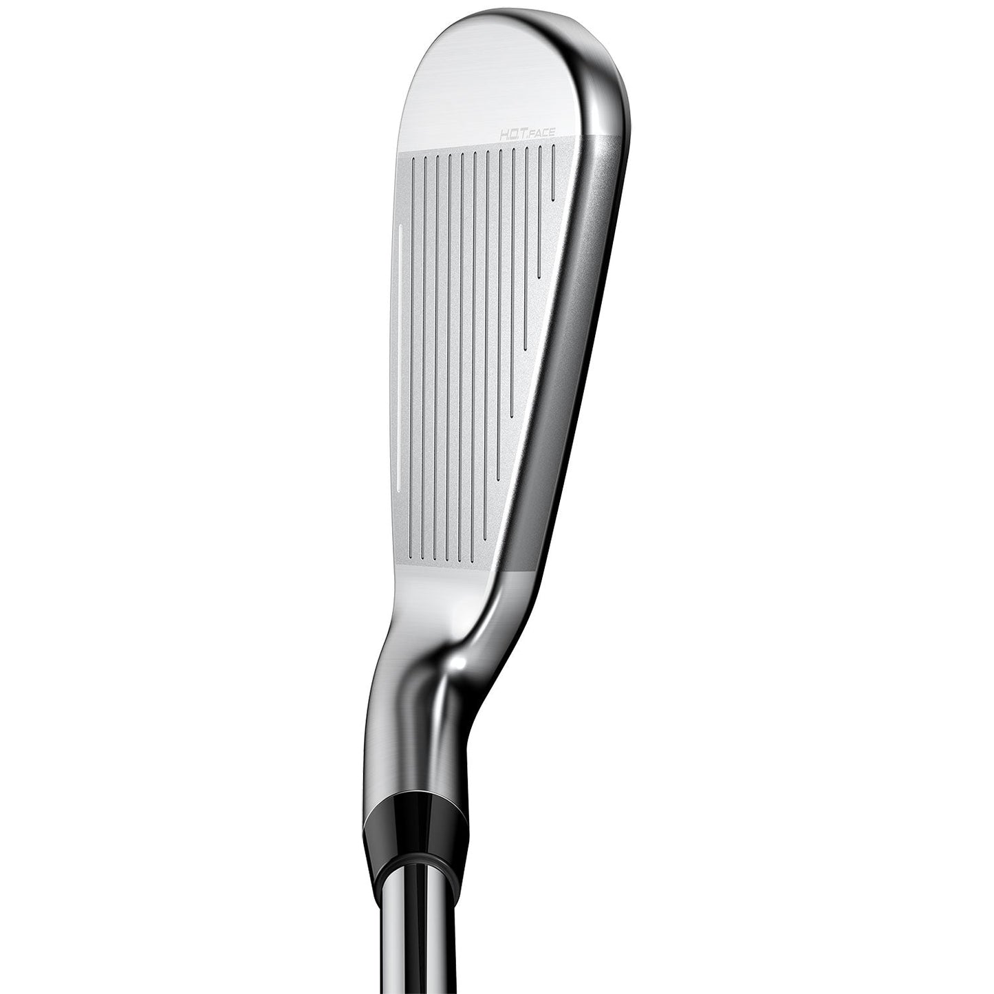 Custom Cobra King Irons