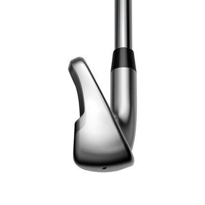 Custom Cobra King Irons