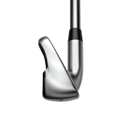Custom Cobra King Max Irons