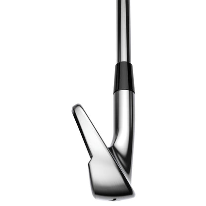 Custom Cobra KING Tour Irons