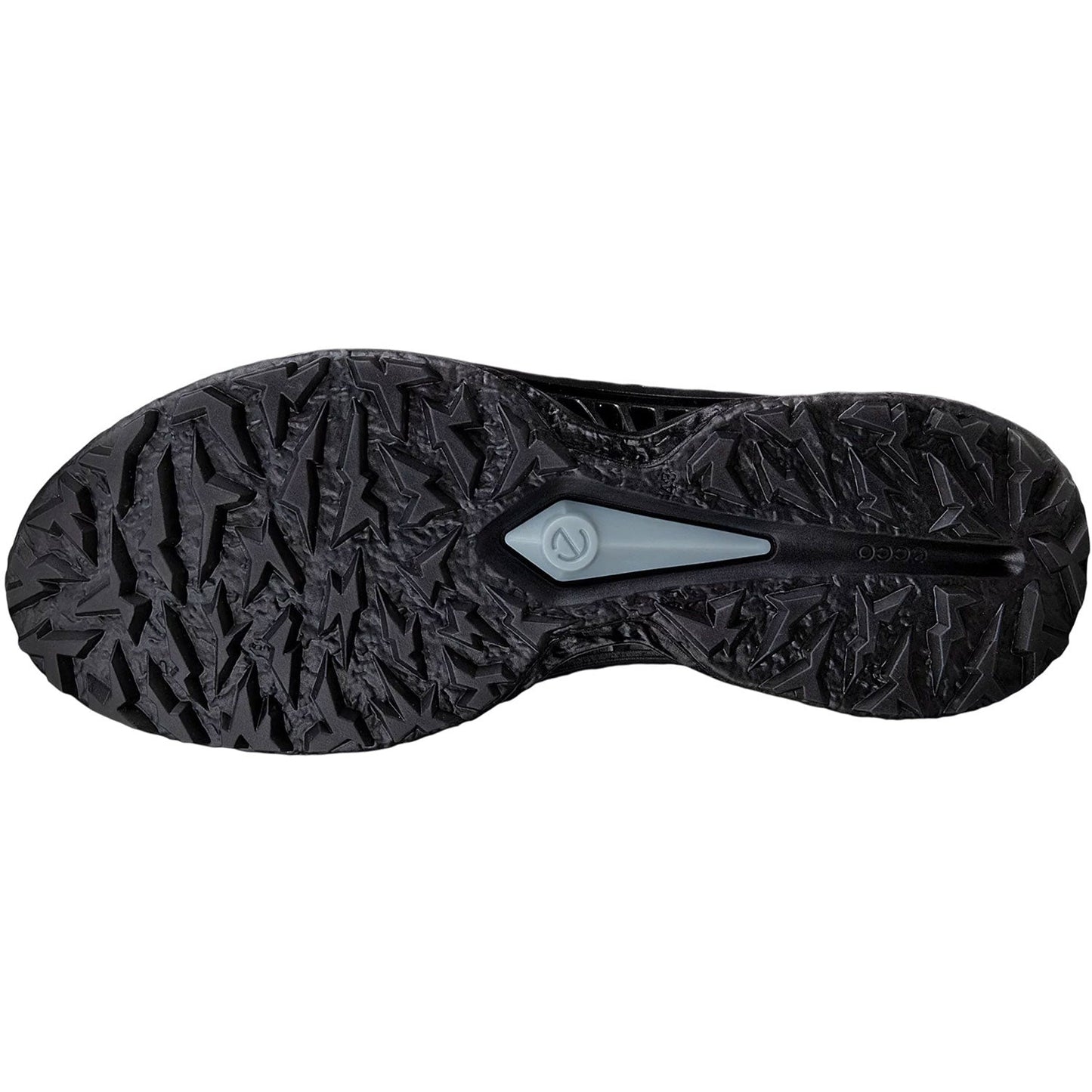 Ecco Biom C5 Leather Golf Shoes Black