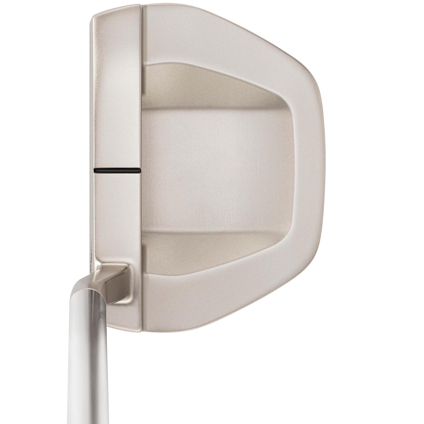 Custom Mizuno M.Craft Nagoya S Nickel Putter