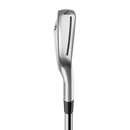 Custom TaylorMade P790 Irons