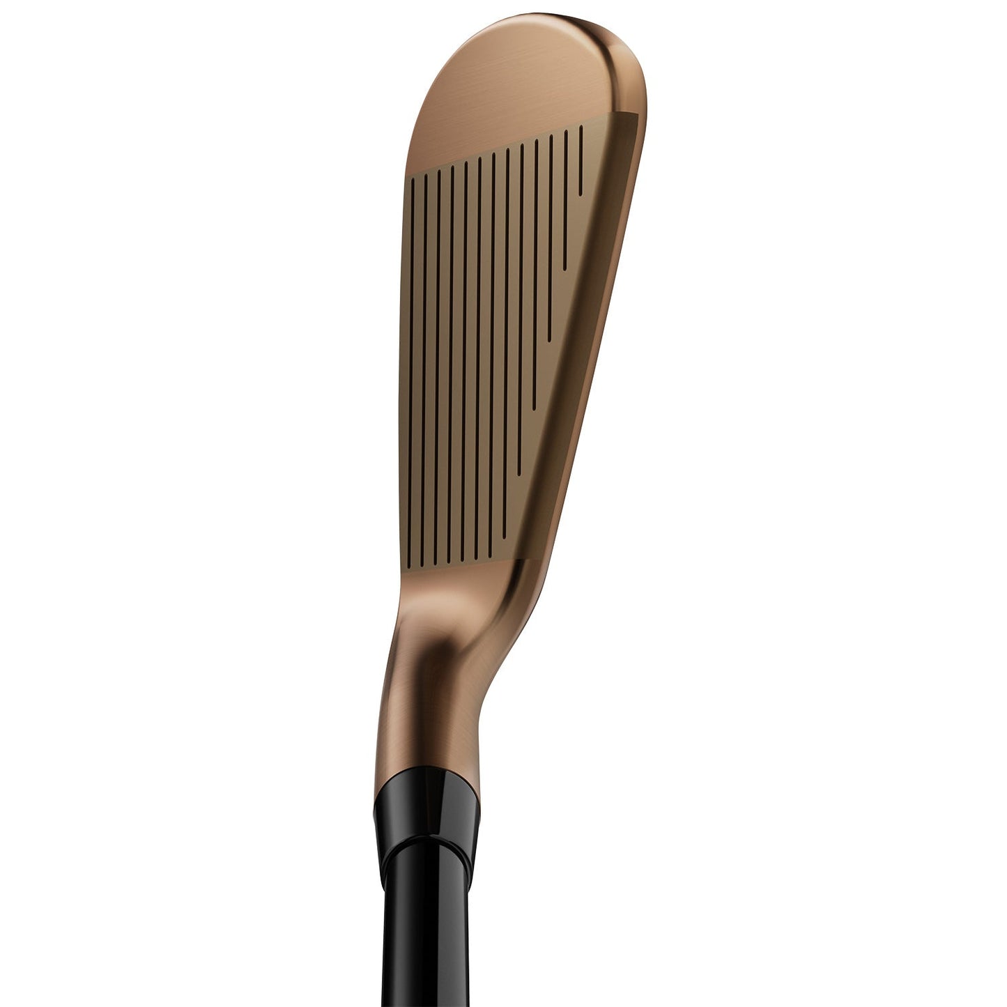 Custom Titleist T250 Oil Can Irons