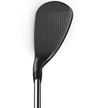 Wilson Infinite Wedge